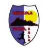 佩尼斯科拉室内足球队